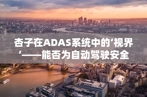 杏子在ADAS系统中的‘视界’——能否为自动驾驶安全增添一抹‘甜’？