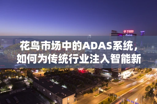花鸟市场中的ADAS系统，如何为传统行业注入智能新活力？
