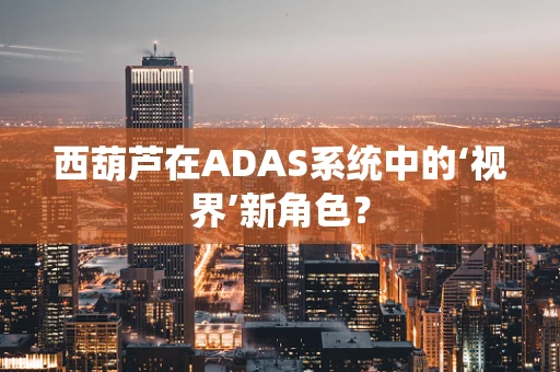 西葫芦在ADAS系统中的‘视界’新角色？