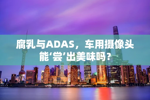 腐乳与ADAS，车用摄像头能‘尝’出美味吗？