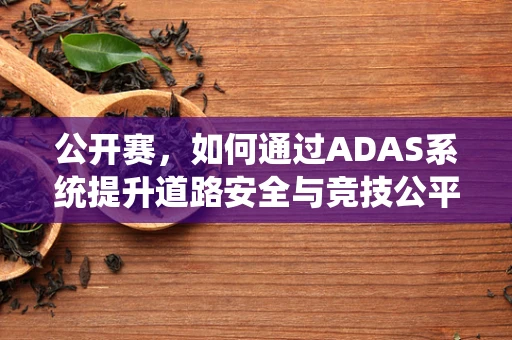 公开赛，如何通过ADAS系统提升道路安全与竞技公平？