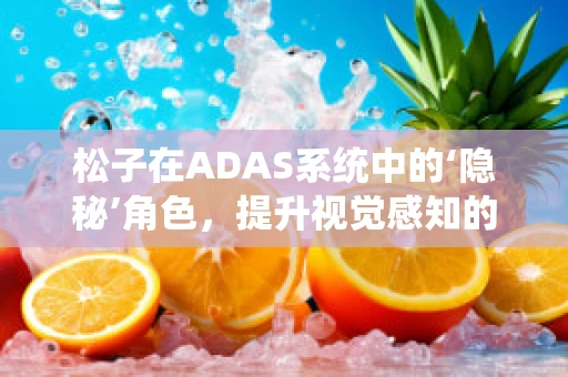 松子在ADAS系统中的‘隐秘’角色，提升视觉感知的微妙助力？