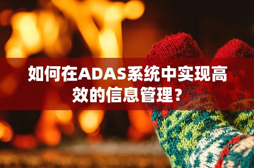 如何在ADAS系统中实现高效的信息管理？