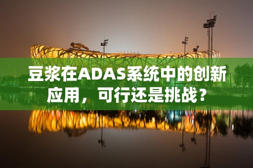 豆浆在ADAS系统中的创新应用，可行还是挑战？