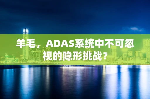 羊毛，ADAS系统中不可忽视的隐形挑战？