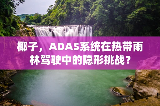 椰子，ADAS系统在热带雨林驾驶中的隐形挑战？