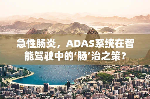 急性肠炎，ADAS系统在智能驾驶中的‘肠’治之策？