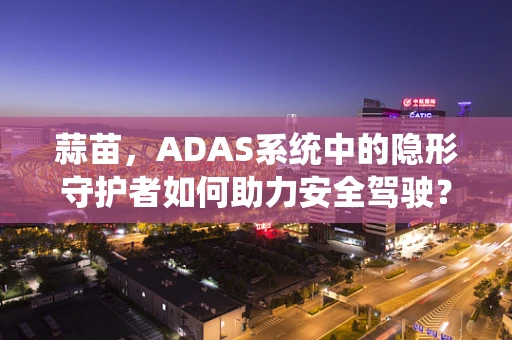 蒜苗，ADAS系统中的隐形守护者如何助力安全驾驶？