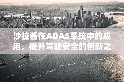 沙拉酱在ADAS系统中的应用，提升驾驶安全的创新之选？