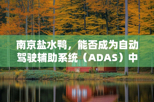 南京盐水鸭，能否成为自动驾驶辅助系统（ADAS）中的‘味觉导航’？