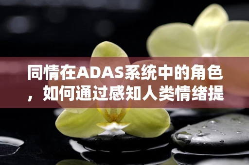 同情在ADAS系统中的角色，如何通过感知人类情绪提升驾驶安全？