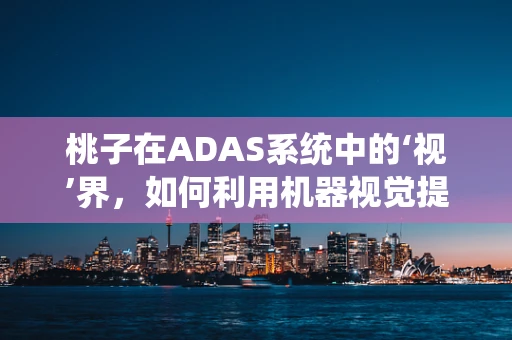 桃子在ADAS系统中的‘视’界，如何利用机器视觉提升自动驾驶安全？