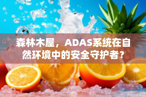 森林木屋，ADAS系统在自然环境中的安全守护者？
