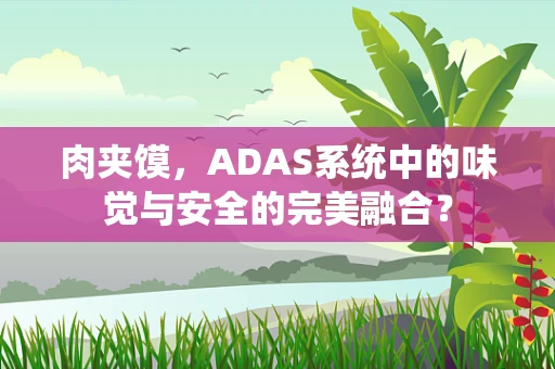 肉夹馍，ADAS系统中的味觉与安全的完美融合？