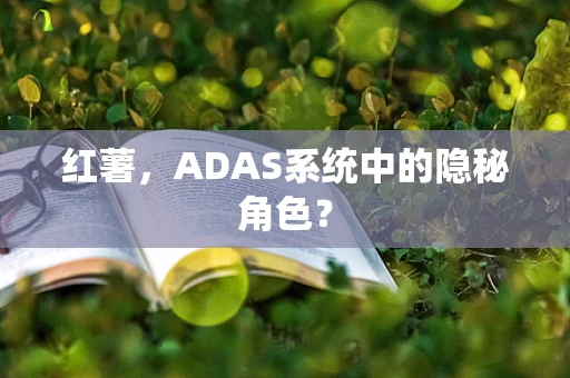 红薯，ADAS系统中的隐秘角色？