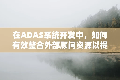在ADAS系统开发中，如何有效整合外部顾问资源以提升项目成功率？