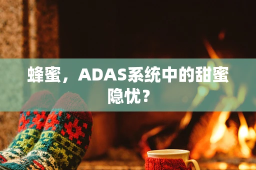 蜂蜜，ADAS系统中的甜蜜隐忧？