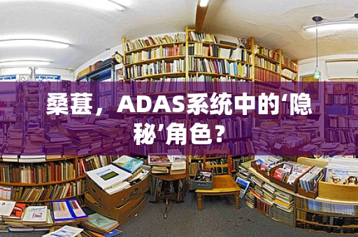 桑葚，ADAS系统中的‘隐秘’角色？