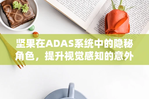 坚果在ADAS系统中的隐秘角色，提升视觉感知的意外之选？