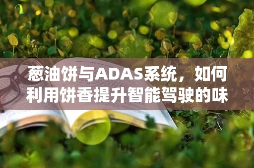 葱油饼与ADAS系统，如何利用饼香提升智能驾驶的味觉？