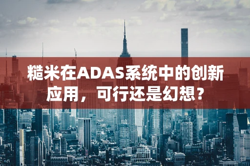 糙米在ADAS系统中的创新应用，可行还是幻想？