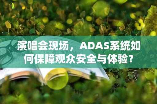 演唱会现场，ADAS系统如何保障观众安全与体验？