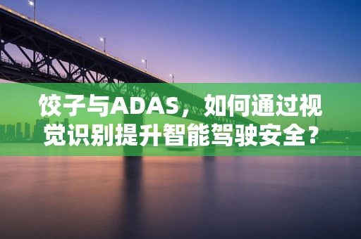 饺子与ADAS，如何通过视觉识别提升智能驾驶安全？