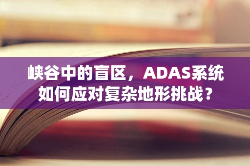 峡谷中的盲区，ADAS系统如何应对复杂地形挑战？