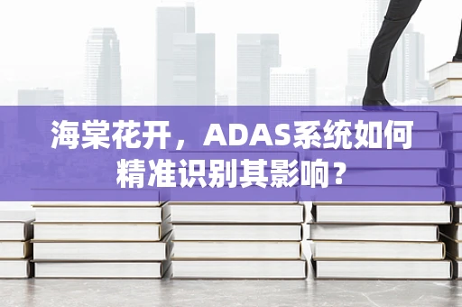 海棠花开，ADAS系统如何精准识别其影响？