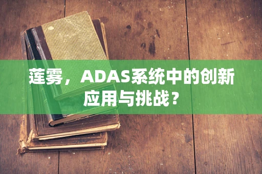 莲雾，ADAS系统中的创新应用与挑战？
