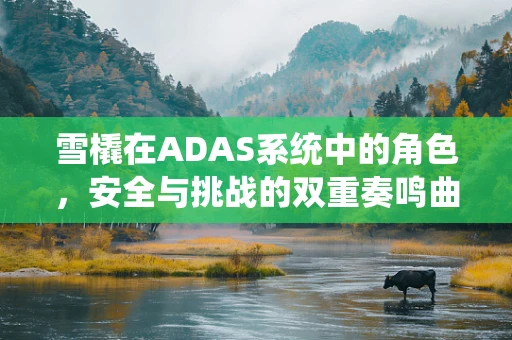 雪橇在ADAS系统中的角色，安全与挑战的双重奏鸣曲