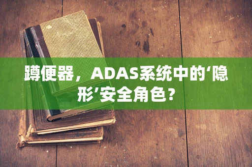 蹲便器，ADAS系统中的‘隐形’安全角色？