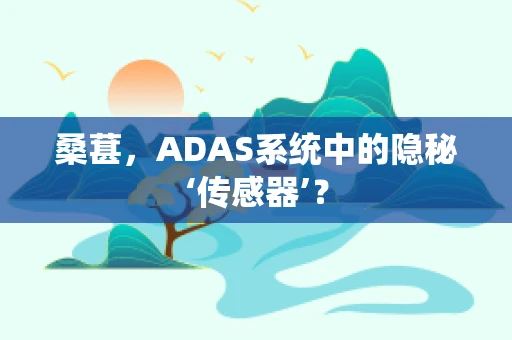 桑葚，ADAS系统中的隐秘‘传感器’？