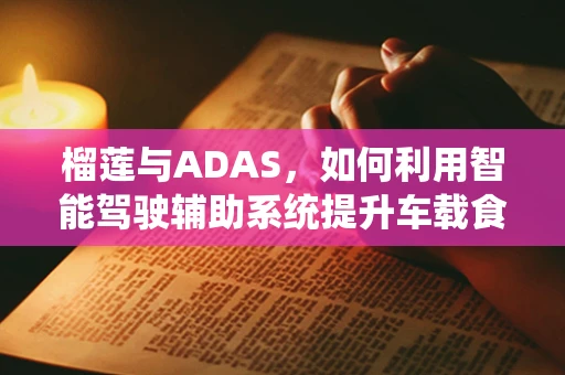 榴莲与ADAS，如何利用智能驾驶辅助系统提升车载食品保鲜体验？