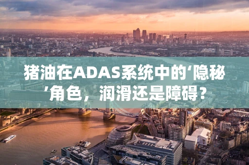猪油在ADAS系统中的‘隐秘’角色，润滑还是障碍？