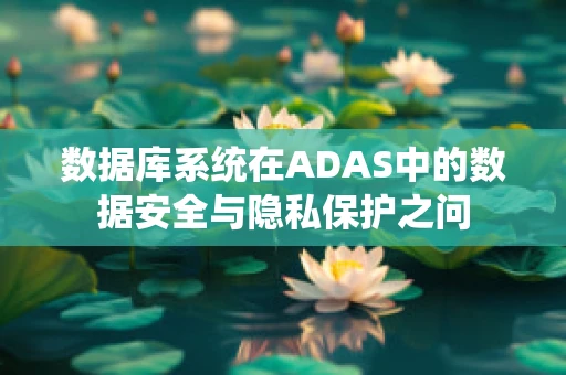 数据库系统在ADAS中的数据安全与隐私保护之问