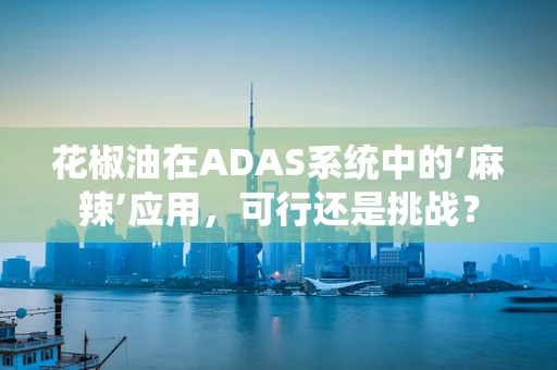 花椒油在ADAS系统中的‘麻辣’应用，可行还是挑战？