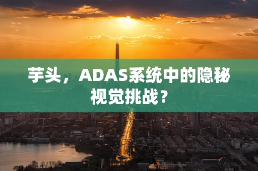 芋头，ADAS系统中的隐秘视觉挑战？