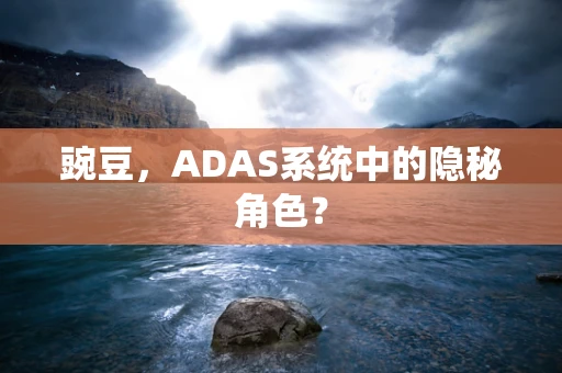 豌豆，ADAS系统中的隐秘角色？