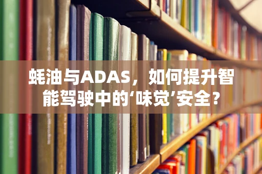 蚝油与ADAS，如何提升智能驾驶中的‘味觉’安全？