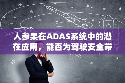 人参果在ADAS系统中的潜在应用，能否为驾驶安全带来新启示？