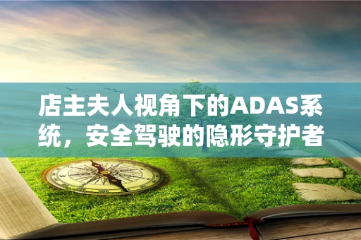 店主夫人视角下的ADAS系统，安全驾驶的隐形守护者？