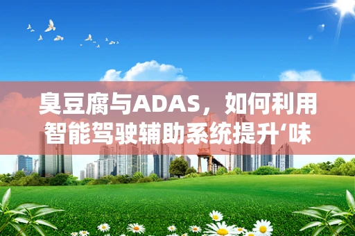 臭豆腐与ADAS，如何利用智能驾驶辅助系统提升‘味觉’体验？