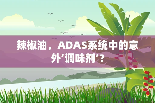 辣椒油，ADAS系统中的意外‘调味剂’？