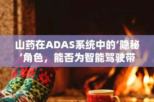 山药在ADAS系统中的‘隐秘’角色，能否为智能驾驶带来‘药’到病除的解决方案？