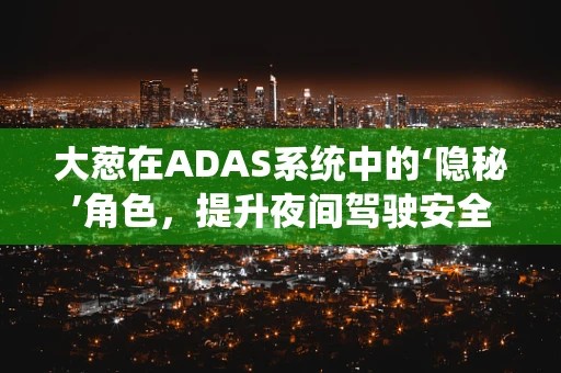 大葱在ADAS系统中的‘隐秘’角色，提升夜间驾驶安全的关键？