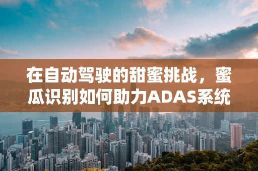 在自动驾驶的甜蜜挑战，蜜瓜识别如何助力ADAS系统精准决策？