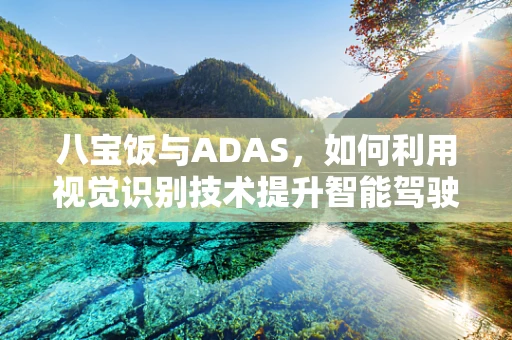 八宝饭与ADAS，如何利用视觉识别技术提升智能驾驶安全？