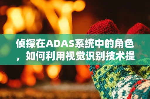 侦探在ADAS系统中的角色，如何利用视觉识别技术提升安全性能？