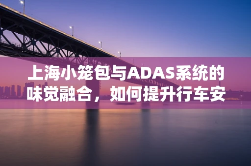 上海小笼包与ADAS系统的味觉融合，如何提升行车安全体验？